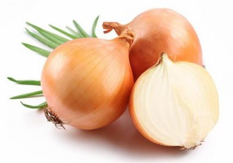 Soğan#Onion
