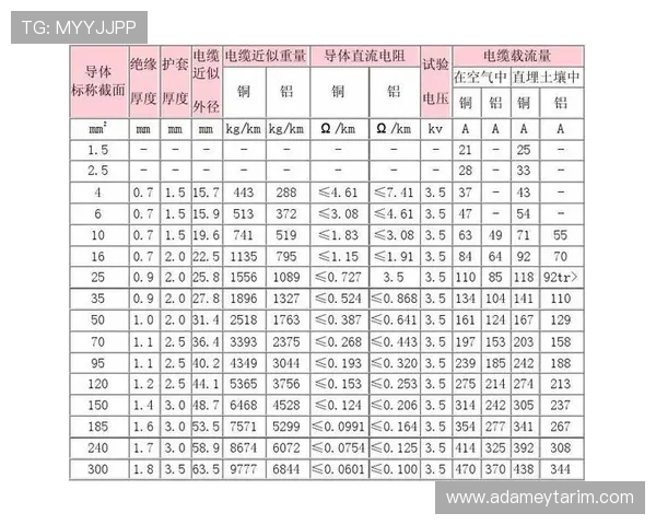百宝来官网提供详细的车辆配置参数与售后服务信息，购车无忧放心选择