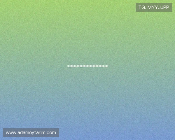 世界杯土耳其巴拉圭比赛比分竞猜规则最新更新及实战操作指南