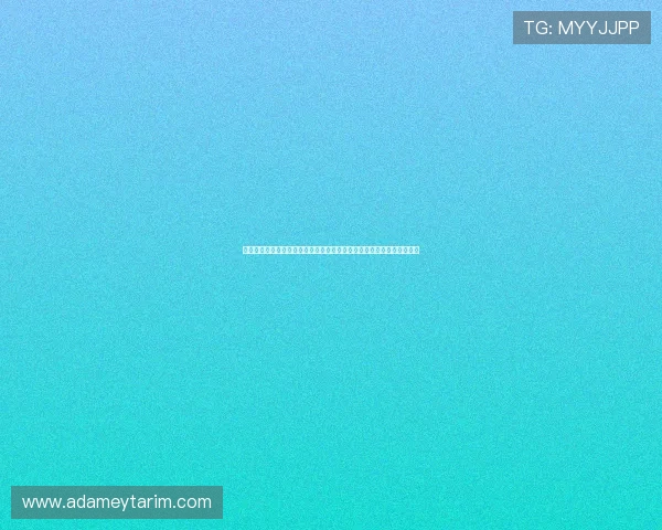 深入分析世界杯巴西海地小组排名变化趋势预测未来晋级形势与关键比赛 深入分析世界杯巴西海地小组排名变化趋势预测未来晋级形势与关键比赛