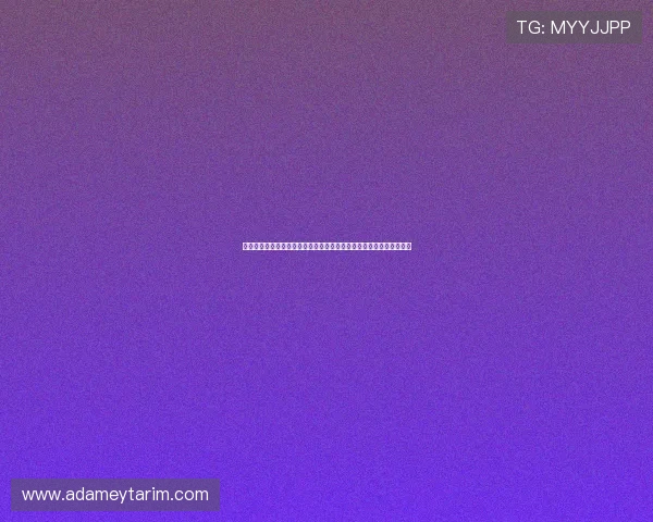 米高梅和美高米关系的深度剖析：品牌差异、合作契机和未来发展方向