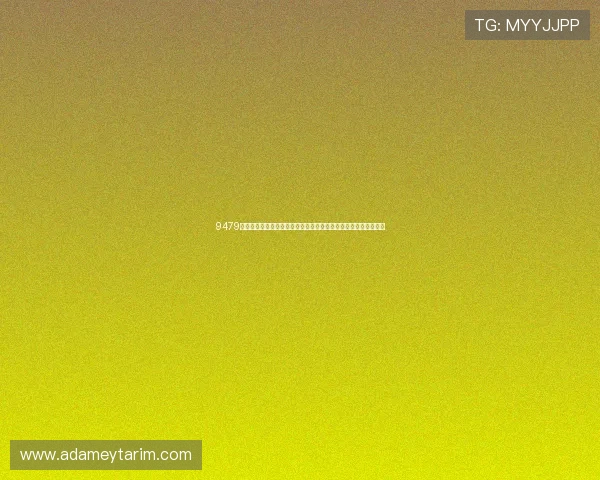 9479威尼斯手机下载让你随时随地观看世界杯直播，享受高清赛事体验